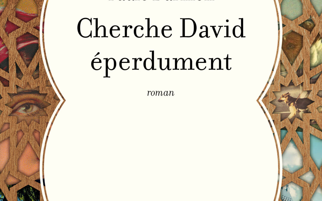 Cherche David éperdument